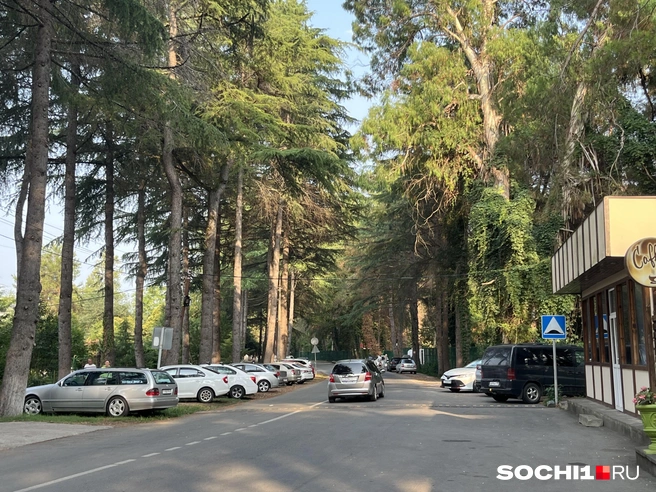 Природа Абхазии впечатляет  | Источник: Анна Грицевич / SOCHI1.RU