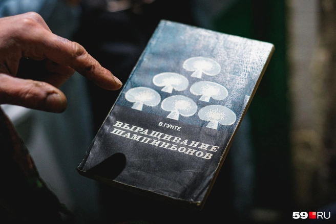 Из этой советской книги Демьян почерпнул много полезного&nbsp;— даже секрет спасения шампиньонов от одного опасного вируса | Источник: Тимофей Калмаков / 59.RU