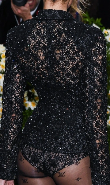 Лиса на Met Gala 2025: подробности скандала  | Источник: Sipa USA