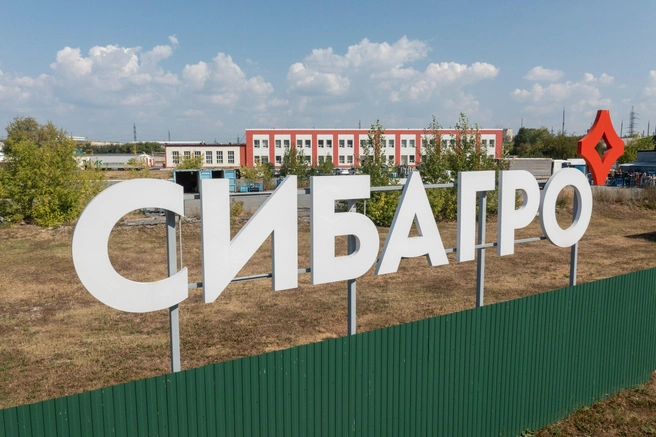 В этом году «Сибагро» планирует снова участвовать в премии | Источник: «Сибагро»