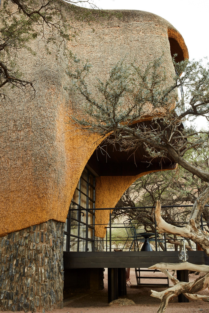 Дом-гнездо в природном заповеднике Намибии