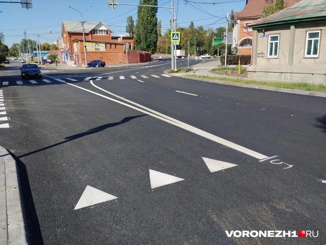 Источник: Дмитрий Волгин / Voronezh1.ru