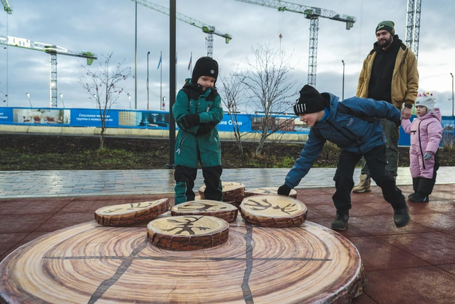 Источник: Igor Gromov