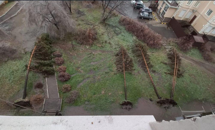 Порваны провода, повалены деревья, затоплены автомобили: в Приморье бушует стихия