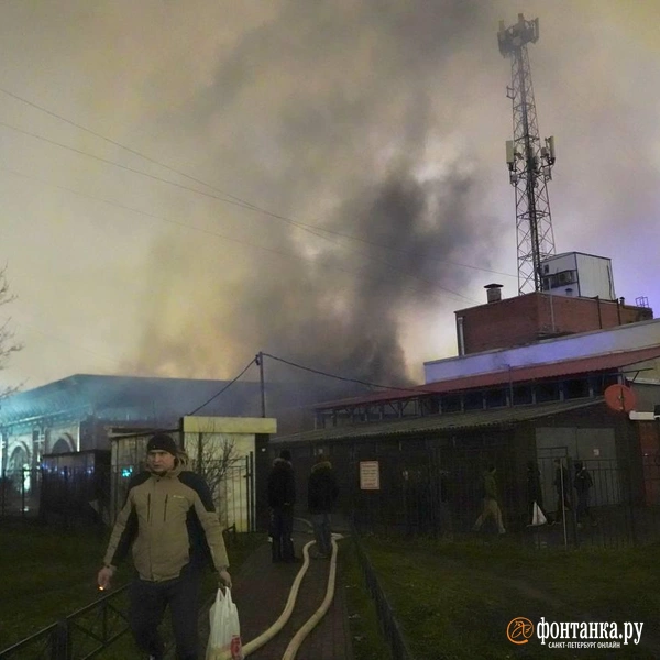 Источник: Павел Даиси / FONTANKA.RU