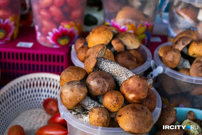 Нам кажется, что все съедобные грибы вкусны и полезны, но есть те, что полезнее остальных | Источник: Ксения Филимонова / «ИрСити»