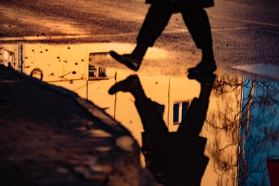 Мокрый снег и ветер в Архангельской области