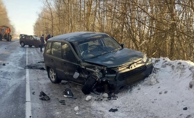 «Ниву» занесло в кювет | Источник: Госавтоинспекция Рязанской области
