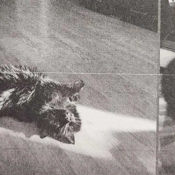 Источник: Объединенная пресс-служба судов Санкт-Петербурга