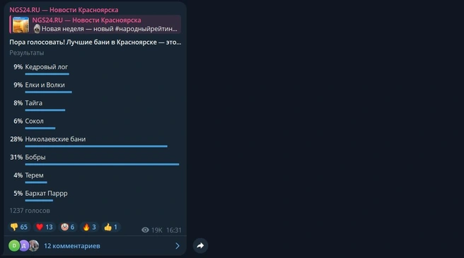 Так распределились голоса | Источник: скриншот @ngs24_krsk / Telegram
