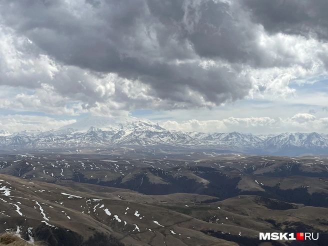 Собака присоединилась к группе туристов прямо в высокогорье | Источник: Виктория Чулюкина / MSK1.RU