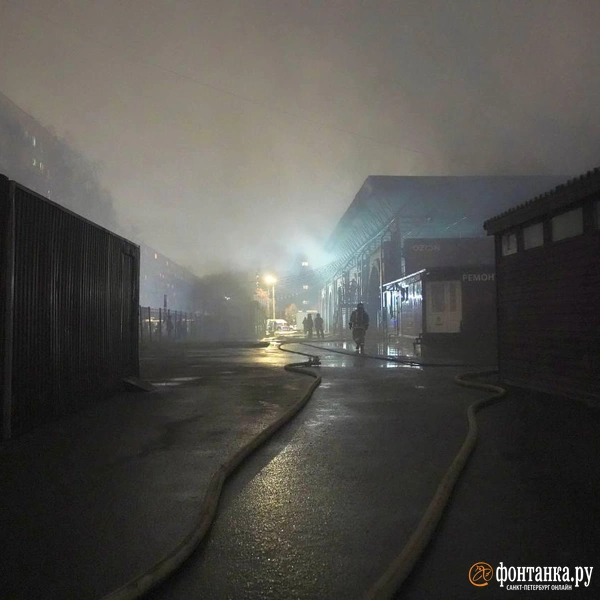 Источник: Павел Даиси / FONTANKA.RU