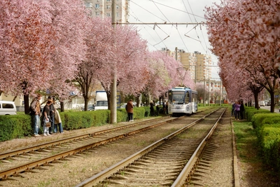 На Кубани потеплеет до +20°C из-за антициклона, но ненадолго