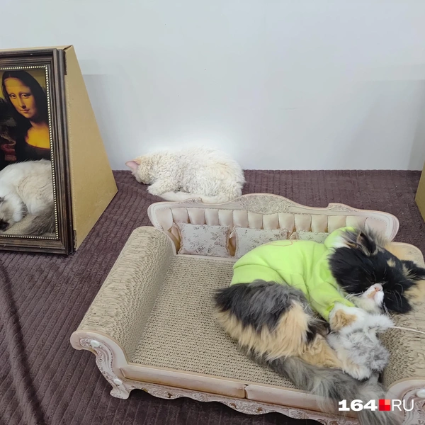 Источник: Сергей Гендин / 164.RU