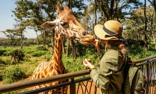 «Мы ходили в пуховиках»: россиянка отдохнула в Африке — что ее удивило