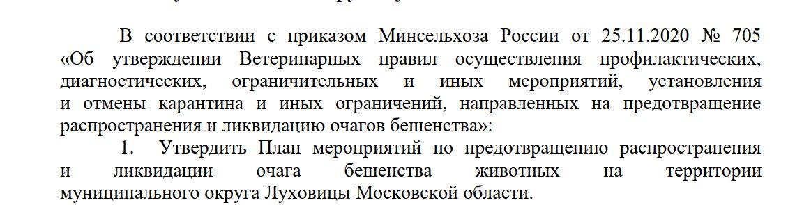 В Московской области введен карантин по бешенству. Животных будут отлавливать