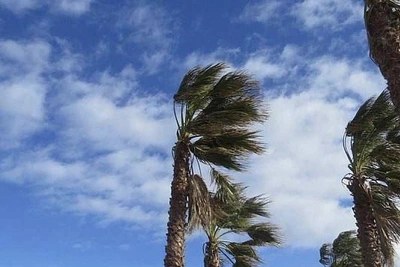 В Сочи и Сириусе прогнозируют сильный ветер и шторм