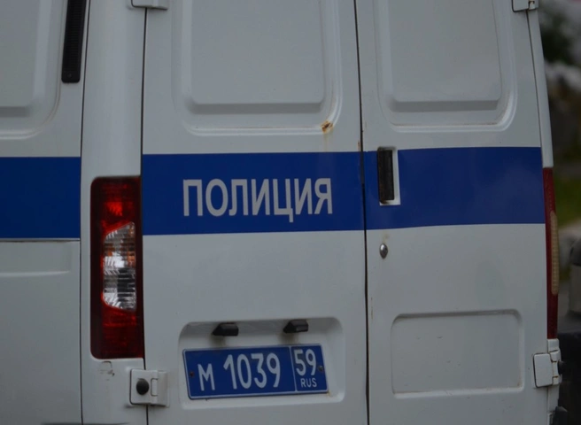 22-летнего рязанца обманули при покупке общевойскового шлема | ya62.ru