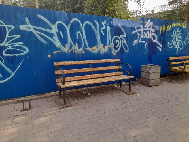 За этим забором — заброшенный ресторан «Балканы». Сейчас он в частных руках, там собирались строить что-то коммерческое. Но дальше планов дело не идет | Источник: Ксения Сухоленко / 161.RU
