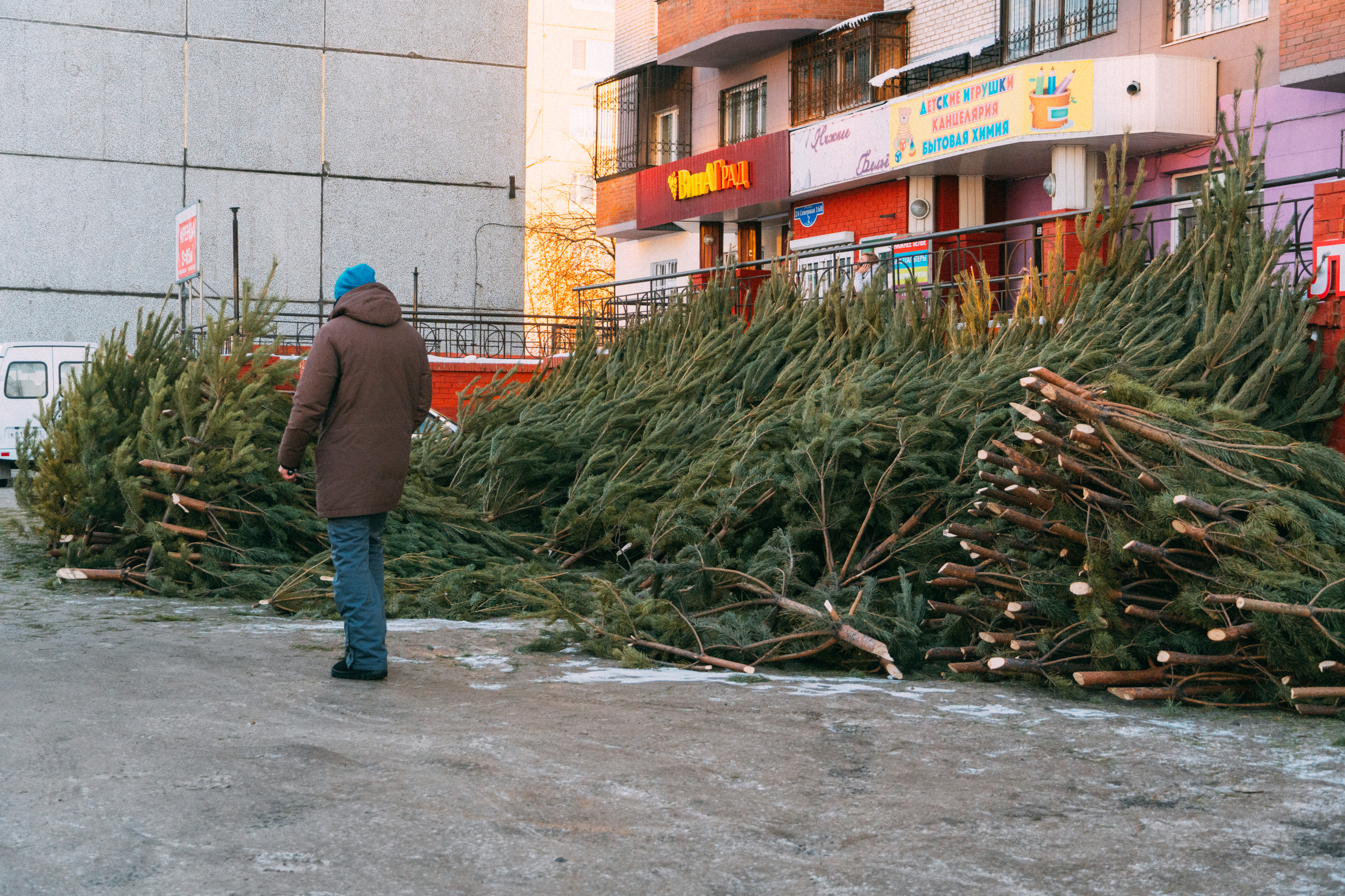 Торгово-развлекательные центры Волгограда перестали принимать ненужные новогодние елки