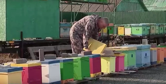 Источник: центр «Мой бизнес»