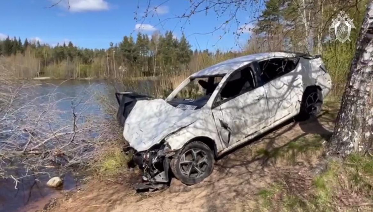 «Шкода» с подростками упала в реку Рощинка в Рощино в Ленобласти, видео с  места ДТП, уголовное дело - 12 мая 2024 - ФОНТАНКА.ру