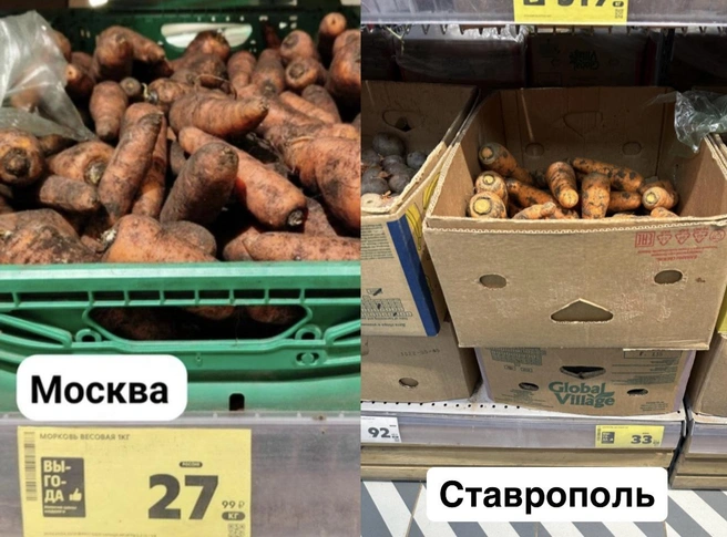 Килограмм моркови в Ставрополе дороже на 22%  | Источник: Габриелла Захарова / 26.RU