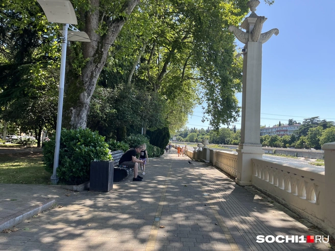 Кто теперь скупает недвижимость в Сочи, если москвичи и питерцы охладели к ней? | Источник: Анна Грицевич / SOCHI1.RU
