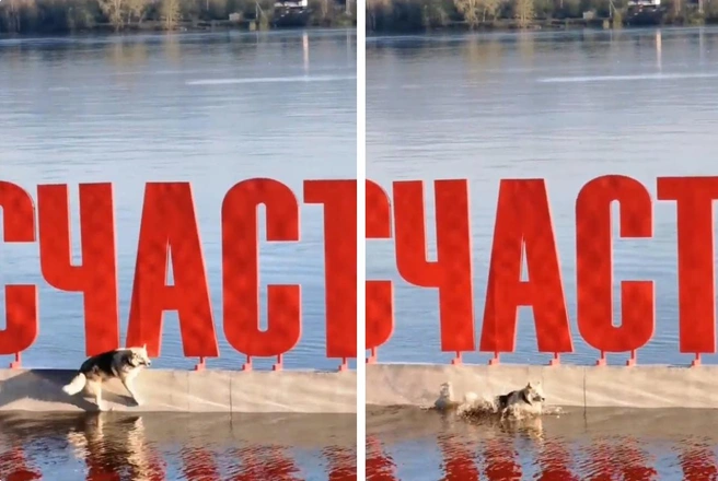 В этом году воды не так много, но падение все равно выглядит эпично | Источник: Rodion Balkov | online travel / Telegram