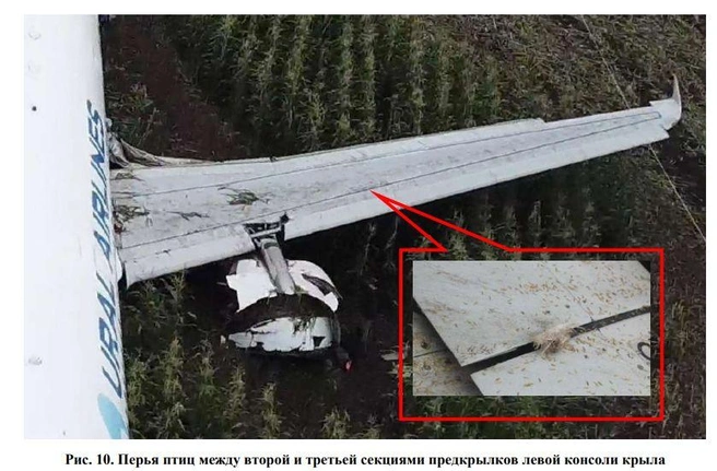 Источник: МАК