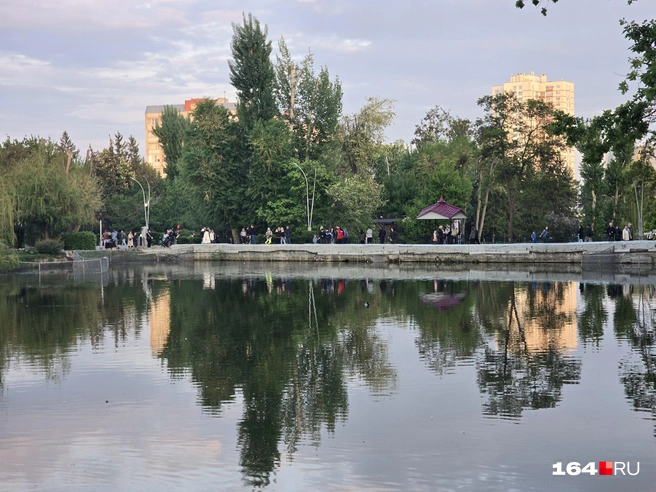 Мы выпустили черепаху с этого берега | Источник: Семен Коротов-Майбах / 164.RU