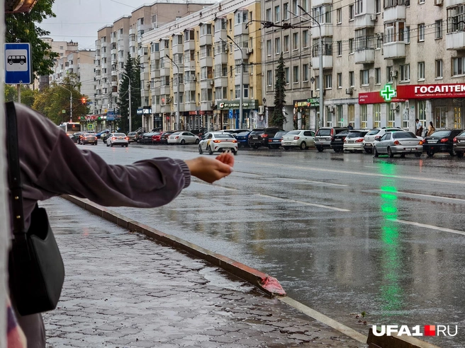 Хотя кто-то вот собирает капельки | Источник: Булат Салихов / UFA1.RU