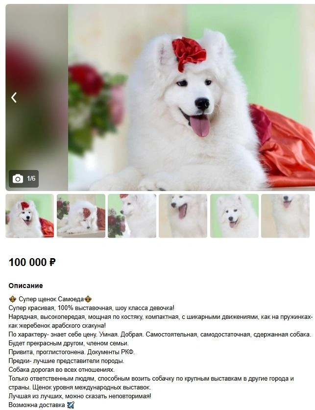 Собака дорогая во всех отношениях | Источник: DoskaYkt.ru