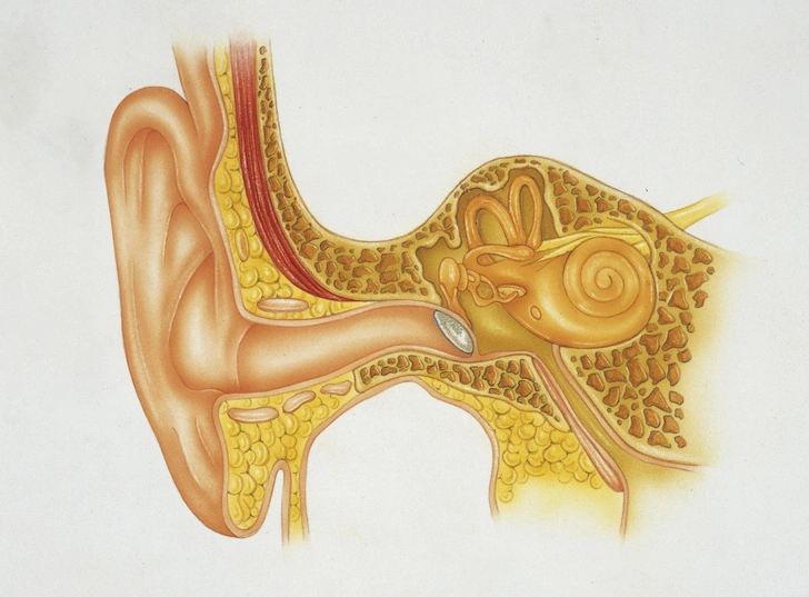 Почему закладывает уши?