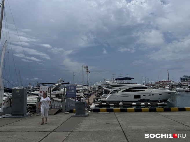 «Комета» начнет ходить с 15 мая | Источник: Анна Грицевич / SOCHI1.RU