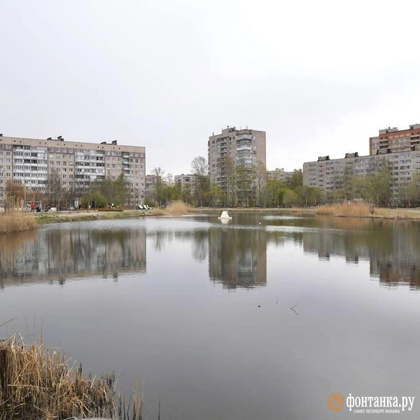 Источник: Павел Даиси / FONTANKA.RU