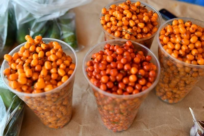 Sea Buckthorn: Benefits and Harms from Doctors
