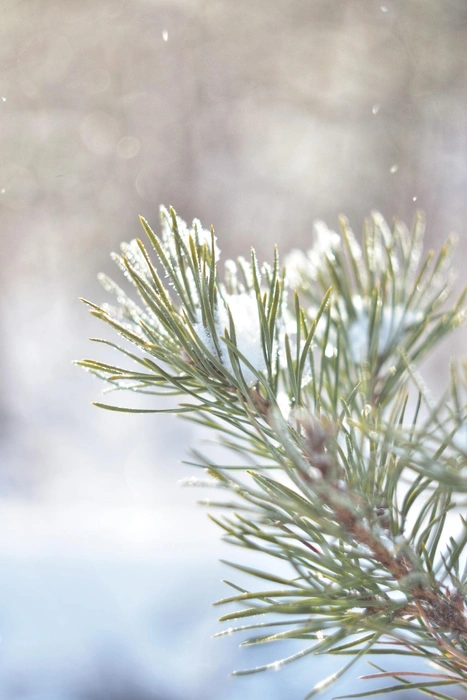 Источник: Анастасия Руднева / Vk.com