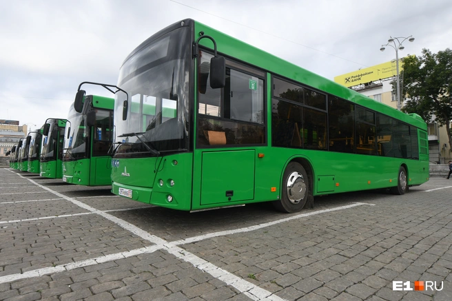 А также в дизельных автобусах МАЗ | Источник: Роман Марьяненко / E1.RU