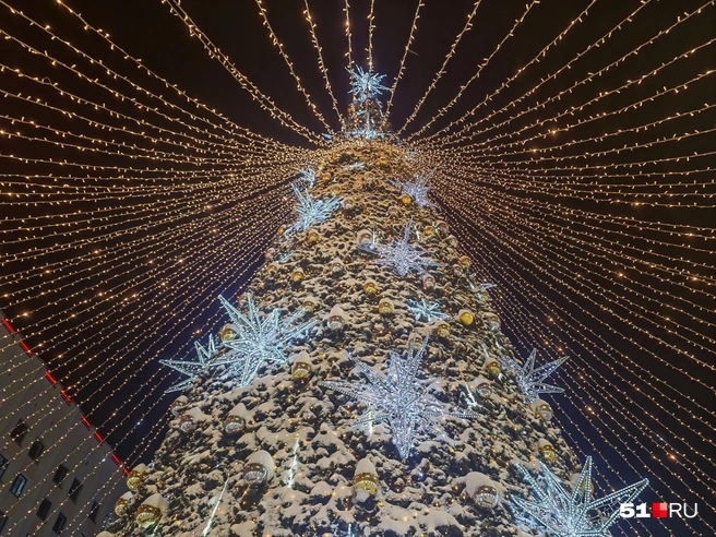 Главная городская елка | Источник: Юлия Кузнецова / 51.RU