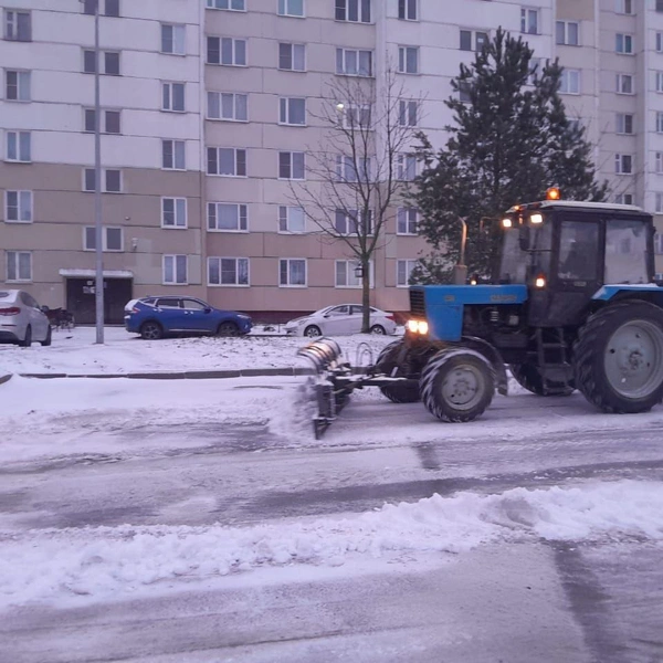 Источник: комитет по благоустройству Петербурга