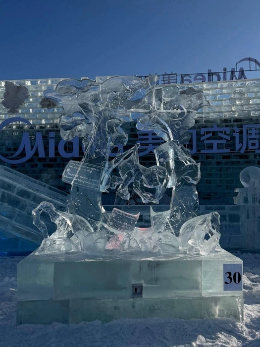Работа Данила и Ильи называется «Один в лесу» | Источник: «OLKHON ICE FEST — ОЛЬХОН АЙС ФЕСТ» / vk.com