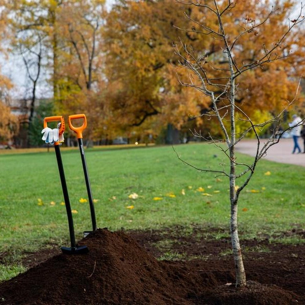 Источник: ГМЗ «Царское село»