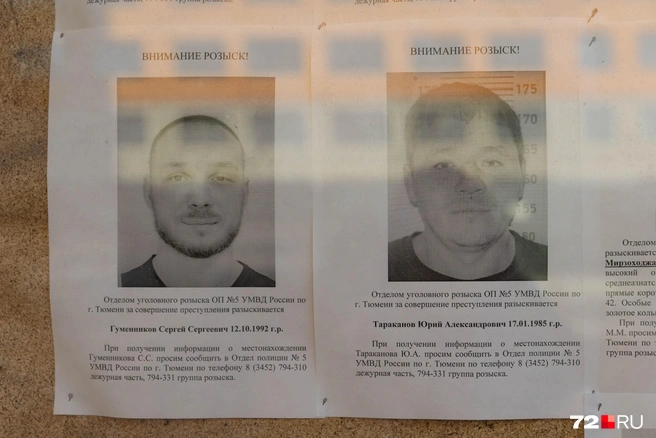 Источник: Ирина Шарова / 72.RU