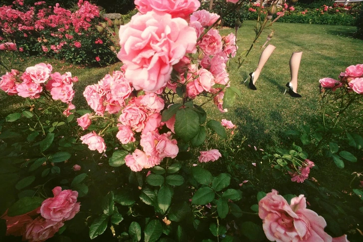 Ги Бурден. Фото для рекламы Charles Jourdan, 1979. C-Print. | Источник: © The Guy Bourdin Estate