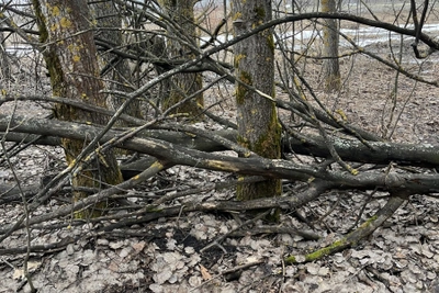 Полтора килограмма мефедрона изъяли у закладчика