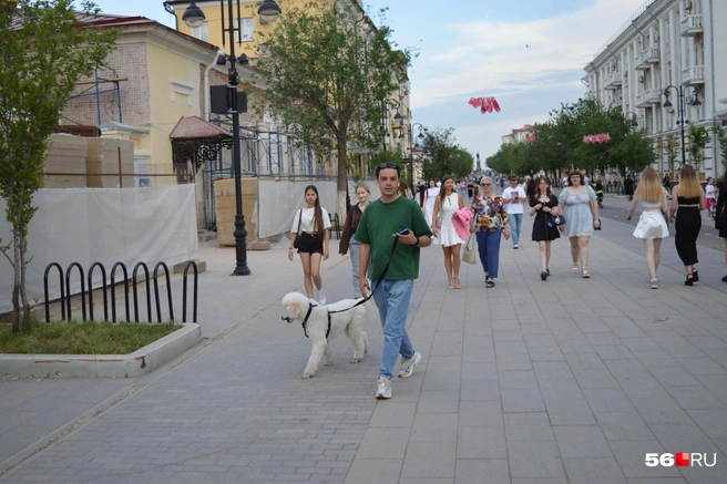 Когда на стиле не только хозяин | Источник: Анастасия Баринова / 56.RU