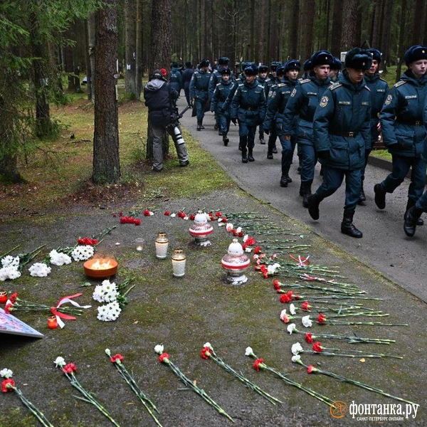 Источник: Андрей Бок / «Фонтанка.ру»