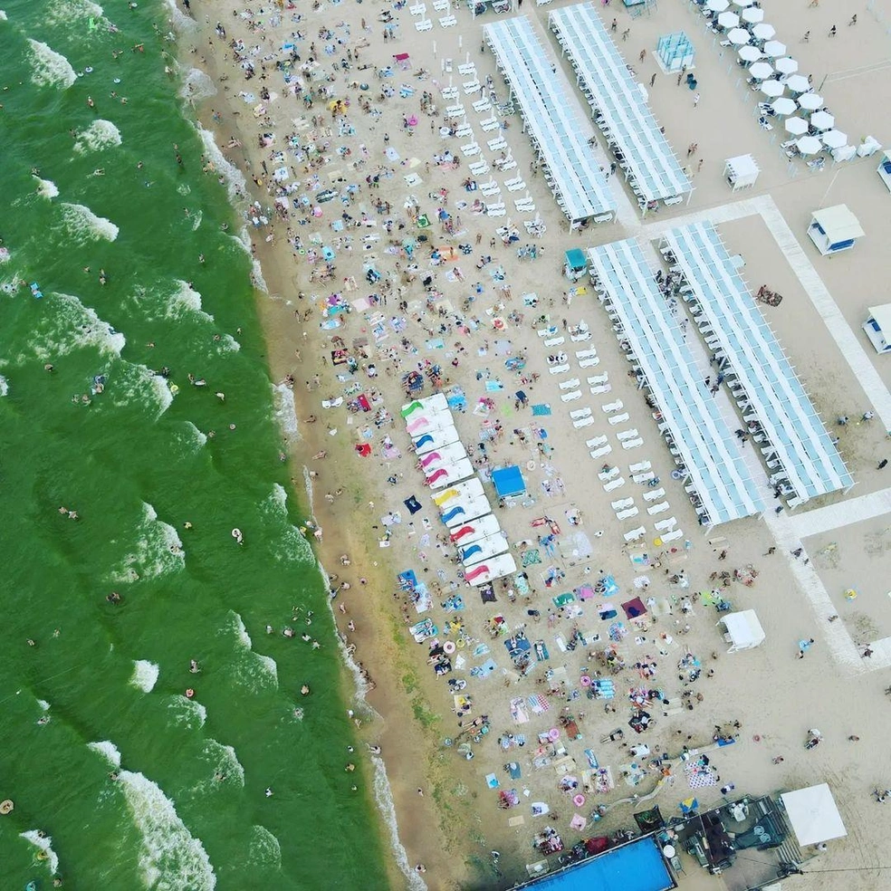 В этом году море цветет даже далеко от берега | Источник: Andreimakovozov / Instagram.com