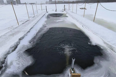 Морж из Сургута плавает при -40 и ест мороженое